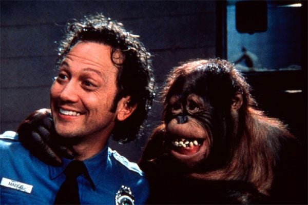 Rob Schneider - Gallery Colection