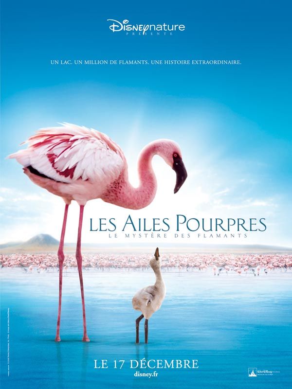 Les ailes pourpres [truefrench]