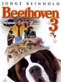 Beethoven 3 en streaming