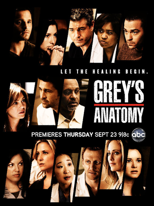 Greys Anatomy Saison 06 French Dvdrip Xvid-Jmt