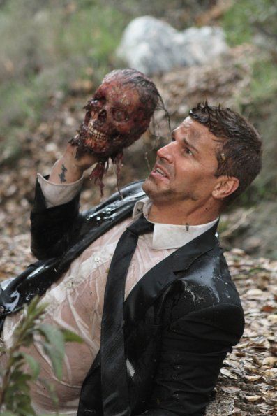 Bones