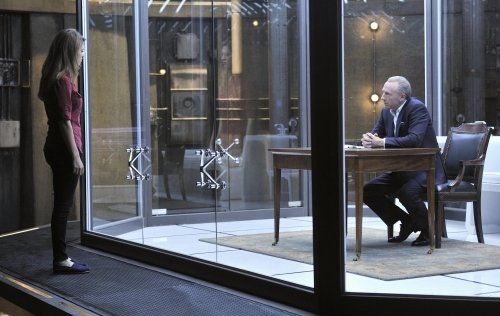 Nikita (2010)