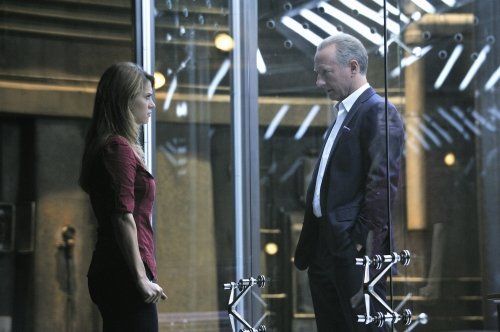 Nikita (2010)