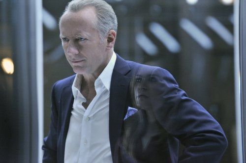 Nikita (2010)