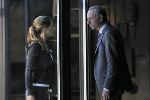 Nikita (2010)