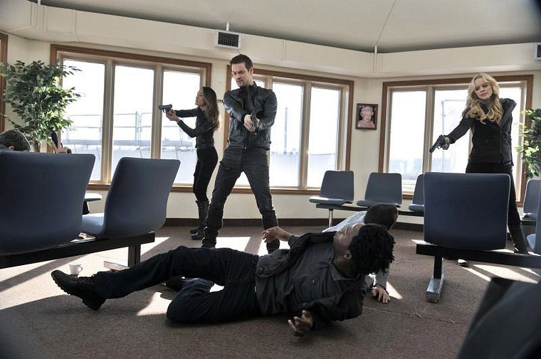Nikita (2010)
