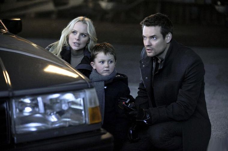 Nikita (2010)
