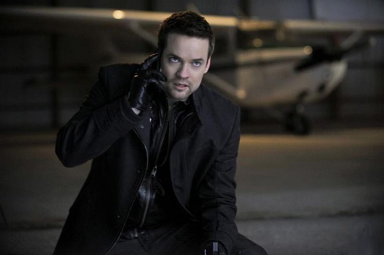 Nikita (2010)