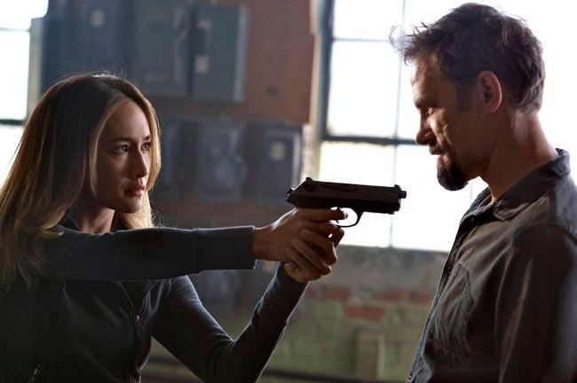 Nikita (2010)