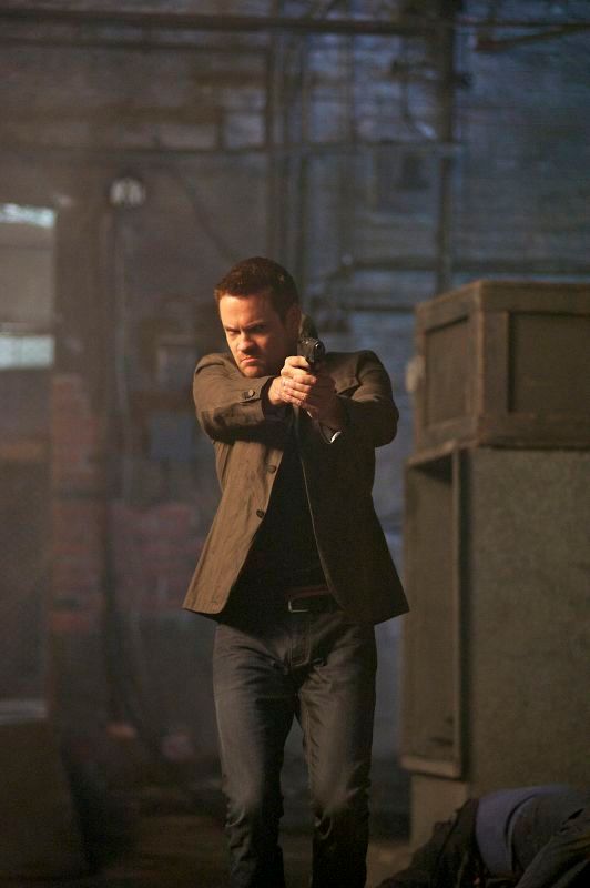 Nikita (2010)