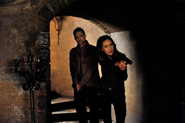 Nikita (2010)
