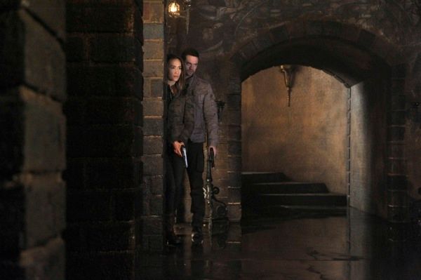 Nikita (2010)