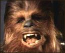 Accident+de+chasse+pour+Chewbacca+!
