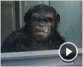 La Planète des singes : les origines Bande-annonce (2) VO