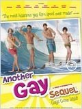 Another Gay Sequel : Gays gone wild !