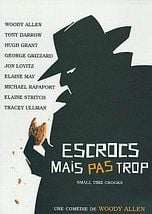 Escrocs mais pas trop streaming