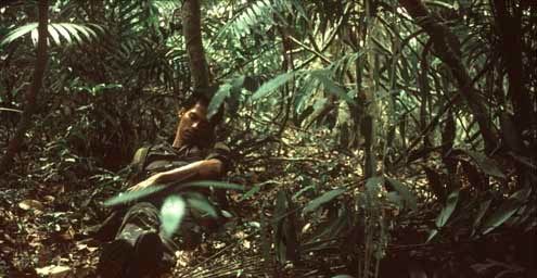 Tropical Malady