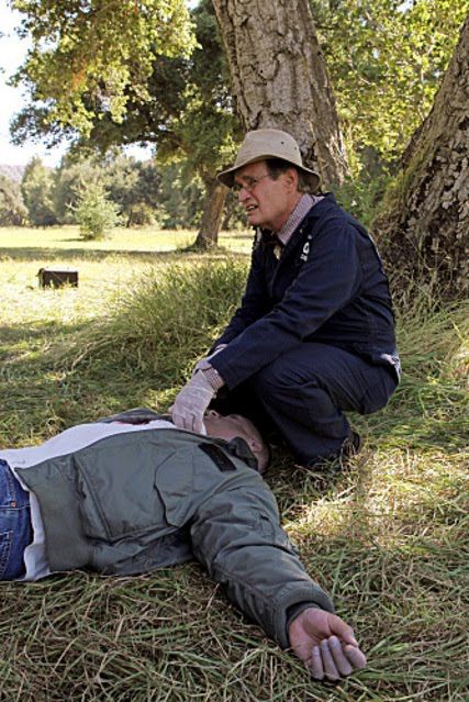 NCIS : Enquêtes spéciales